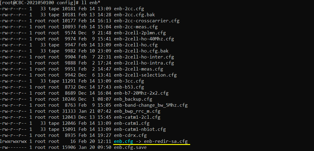 LTE Redir L N Config 01