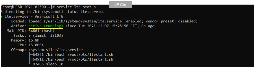 OutOfBox UeSim LteServiceStatus 01